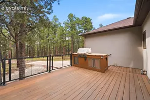 3925 Wavy Oak Dr, Colorado Springs, CO 80908 - Photo 34