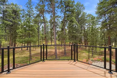 3925 Wavy Oak Drive, Colorado Springs, CO 80908 - Photo 32