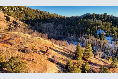 524 Buckhorn Road, Cripple Creek, CO 80813 - Photo 14