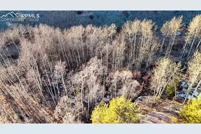 524 Buckhorn Road, Cripple Creek, CO 80813 - Photo 6