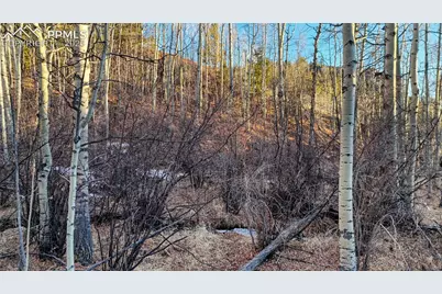 524 Buckhorn Road, Cripple Creek, CO 80813 - Photo 18