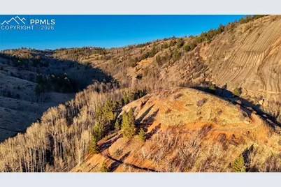 524 Buckhorn Road, Cripple Creek, CO 80813 - Photo 10