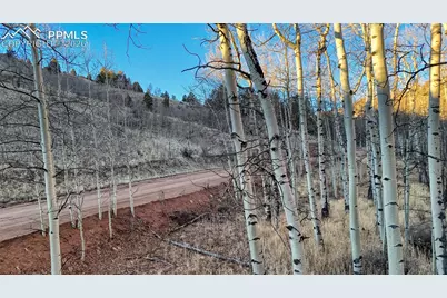 524 Buckhorn Road, Cripple Creek, CO 80813 - Photo 8