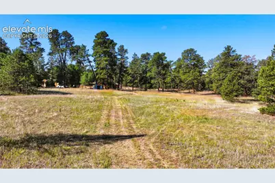 11180 Milam Road, Colorado Springs, CO 80908 - Photo 28