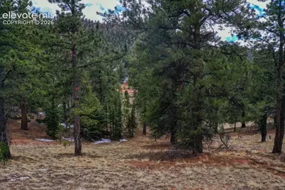 395 Wabash Terrace, Cripple Creek, CO 80813 - Photo 12
