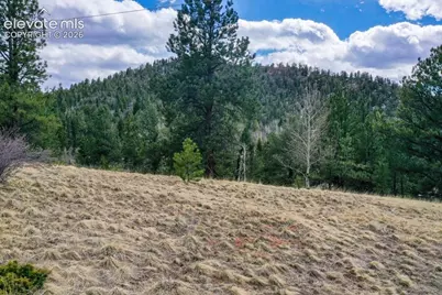 395 Wabash Terrace, Cripple Creek, CO 80813 - Photo 38
