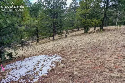 395 Wabash Terrace, Cripple Creek, CO 80813 - Photo 32