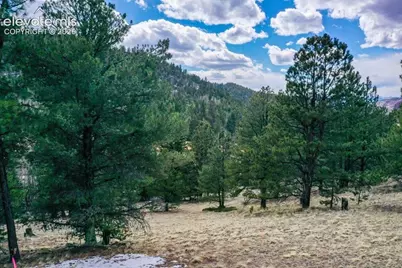 395 Wabash Terrace, Cripple Creek, CO 80813 - Photo 30