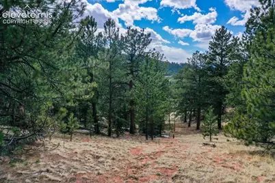 395 Wabash Terrace, Cripple Creek, CO 80813 - Photo 2