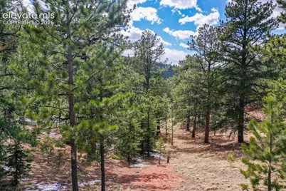 395 Wabash Terrace, Cripple Creek, CO 80813 - Photo 4