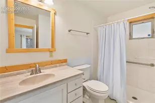 135 Daniwood Grove, Florissant, CO 80816 - Photo 30