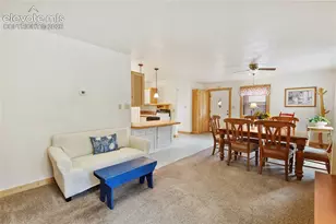 135 Daniwood Grove, Florissant, CO 80816 - Photo 36