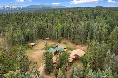 135 Daniwood Grove, Florissant, CO 80816 - Photo 42