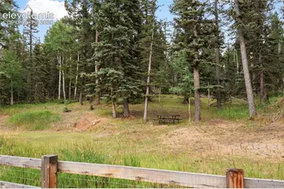135 Daniwood Grove, Florissant, CO 80816 - Photo 38