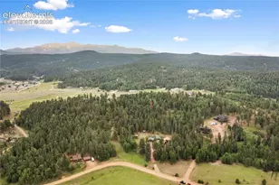 135 Daniwood Grove, Florissant, CO 80816 - Photo 40