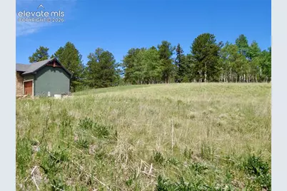 307 Pinaceae Heights, Divide, CO 80814 - Photo 2