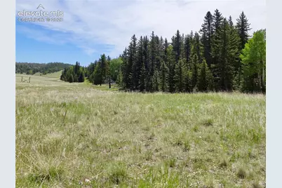 307 Pinaceae Heights, Divide, CO 80814 - Photo 4