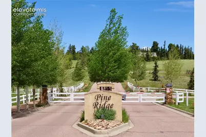 307 Pinaceae Heights, Divide, CO 80814 - Photo 8