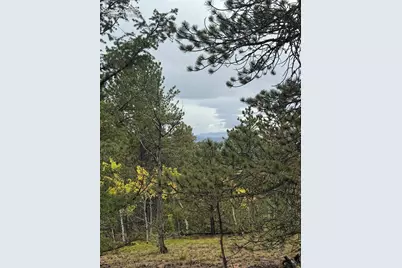 7935 County Road 51, Divide, CO 80814 - Photo 1