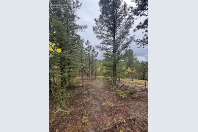 7935 County Road 51, Divide, CO 80814 - Photo 2