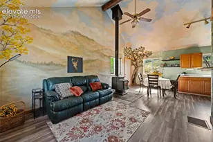 504 Valley Dr, Divide, CO 80814 - Photo 6