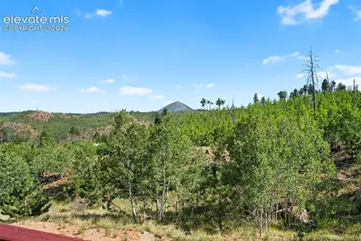 504 Valley Drive, Divide, CO 80814 - Photo 26