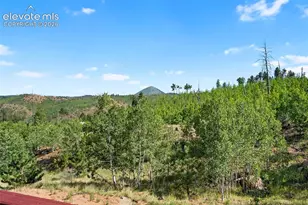 504 Valley Dr, Divide, CO 80814 - Photo 26