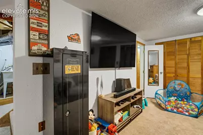 956 Boulder Street, Calhan, CO 80808 - Photo 22