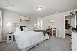 8691 Dry Needle Place, Colorado Springs, CO 80908 - Photo 16