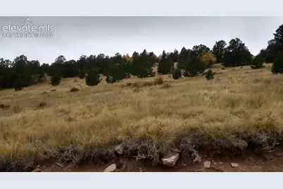 Highway 67, Cripple Creek, CO 80813 - Photo 4