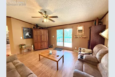 17 Amanda Circle, Florissant, CO 80816 - Photo 34
