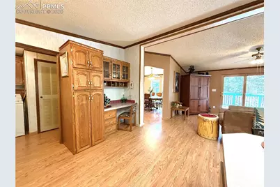 17 Amanda Circle, Florissant, CO 80816 - Photo 22