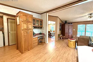 17 Amanda Cir, Florissant, CO 80816 - Photo 22