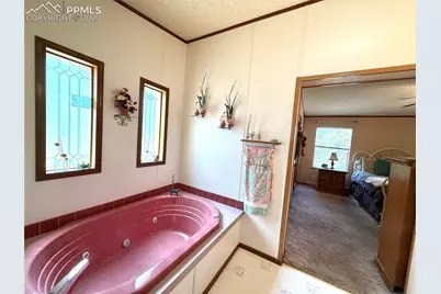 17 Amanda Circle, Florissant, CO 80816 - Photo 44