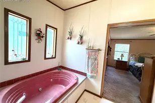 17 Amanda Cir, Florissant, CO 80816 - Photo 44