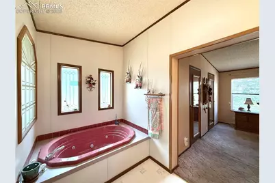 17 Amanda Circle, Florissant, CO 80816 - Photo 40