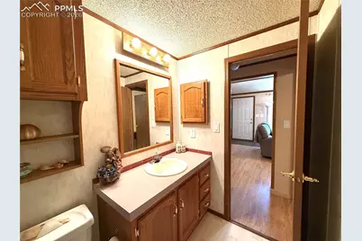 17 Amanda Circle, Florissant, CO 80816 - Photo 48