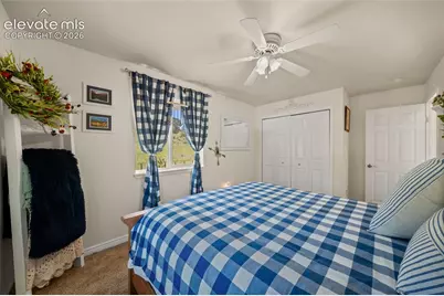 524 Spring Valley Drive, Florissant, CO 80816 - Photo 16