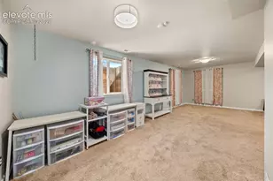 524 Spring Valley Dr, Florissant, CO 80816 - Photo 28