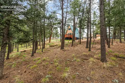 110 Gentian Road, Woodland Park, CO 80866 - Photo 30