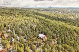3613 Trail Creek Rd, Florissant, CO 80816 - Photo 42