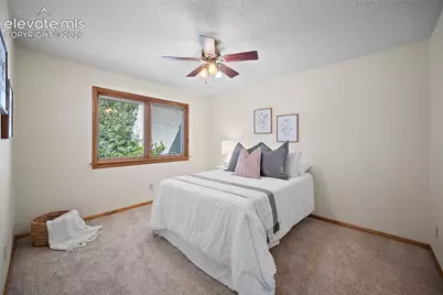312 Blue Windsor Lane, Colorado Springs, CO 80906 - Photo 16