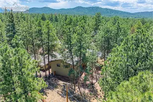 917 Centre Camino Na, Woodland Park, CO 80863 - Photo 44