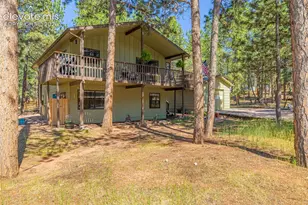 917 Centre Camino Na, Woodland Park, CO 80863 - Photo 2