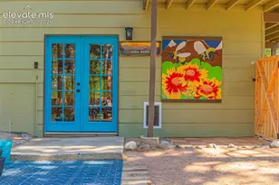 917 Centre Camino Na, Woodland Park, CO 80863 - Photo 38