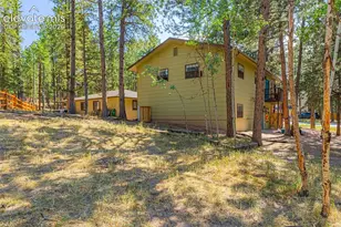 917 Centre Camino Na, Woodland Park, CO 80863 - Photo 42