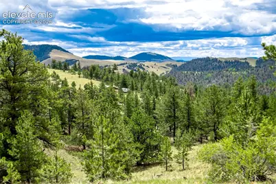 75 Deer Run Na, Guffey, CO 80820 - Photo 36