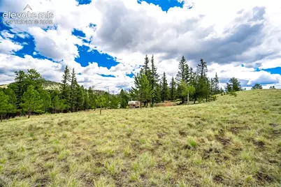 75 Deer Run Na, Guffey, CO 80820 - Photo 20