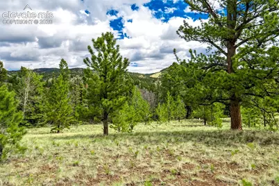 75 Deer Run Na, Guffey, CO 80820 - Photo 30