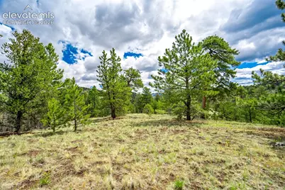 75 Deer Run Na, Guffey, CO 80820 - Photo 34